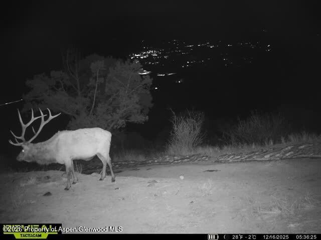 Tbd County Road 117 Glenwood Springs CO 81601