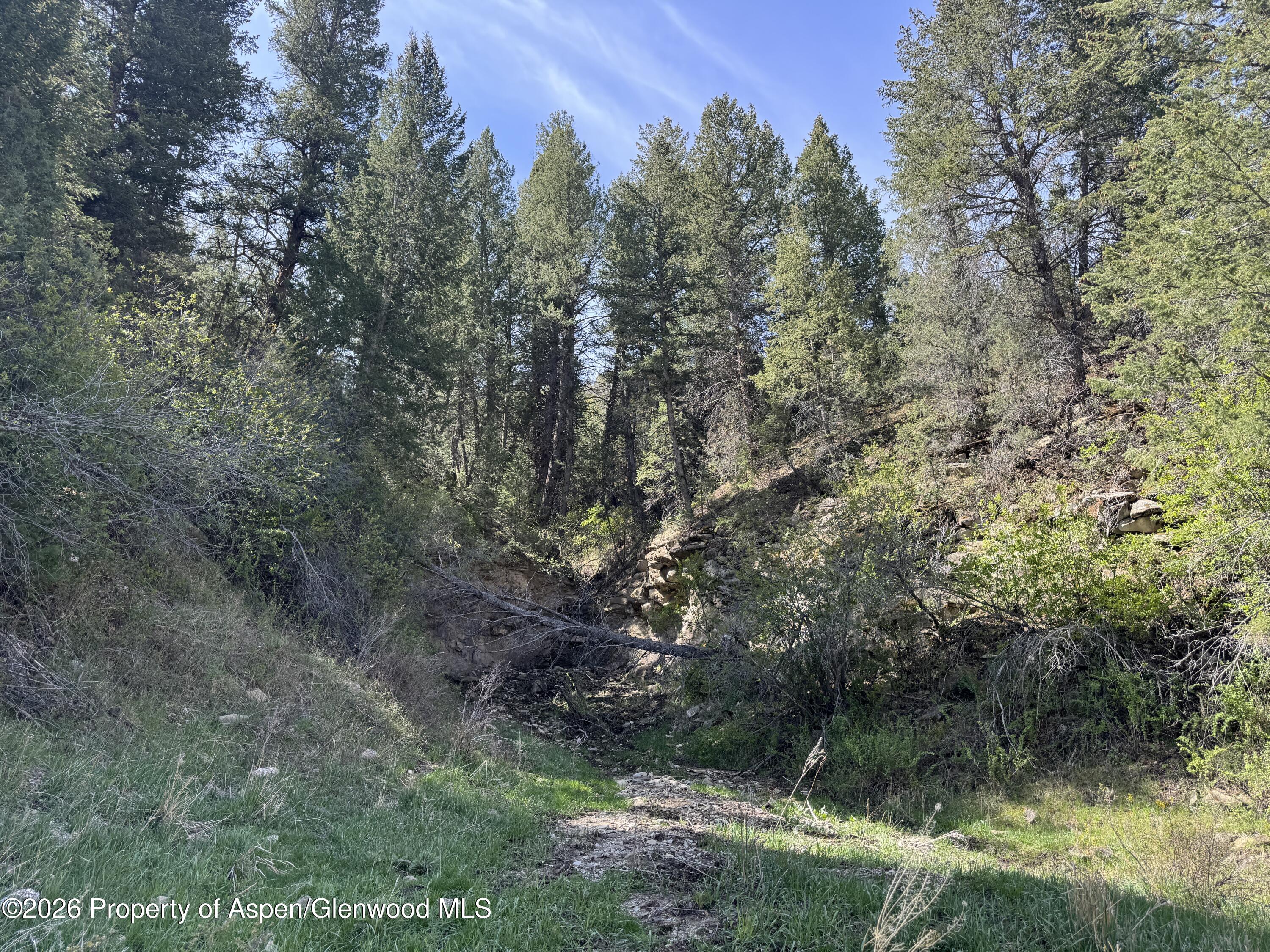 65061 Highway 64 Meeker CO 81641