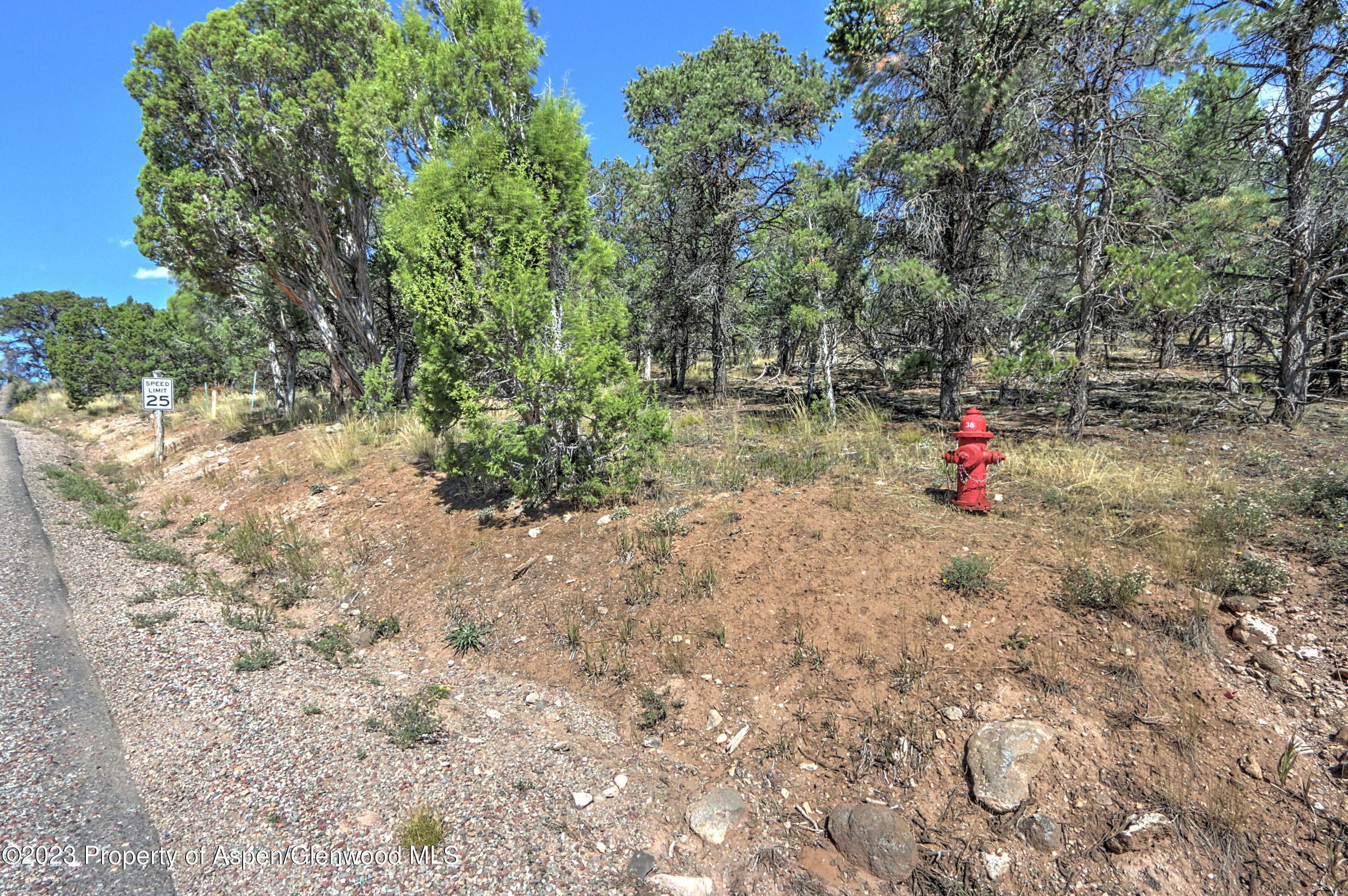 776 Elk Springs Drive Glenwood Springs CO 81601