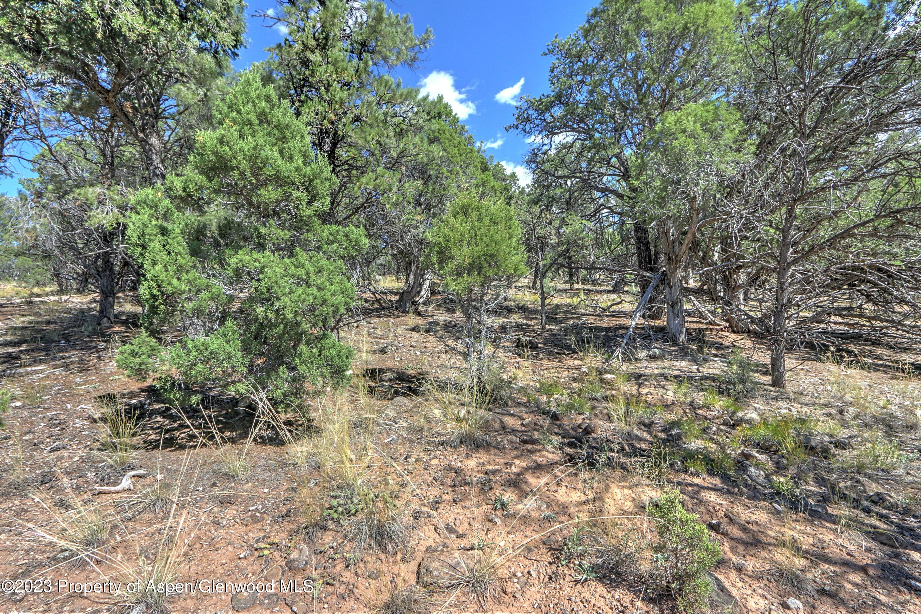 776 Elk Springs Drive Glenwood Springs CO 81601