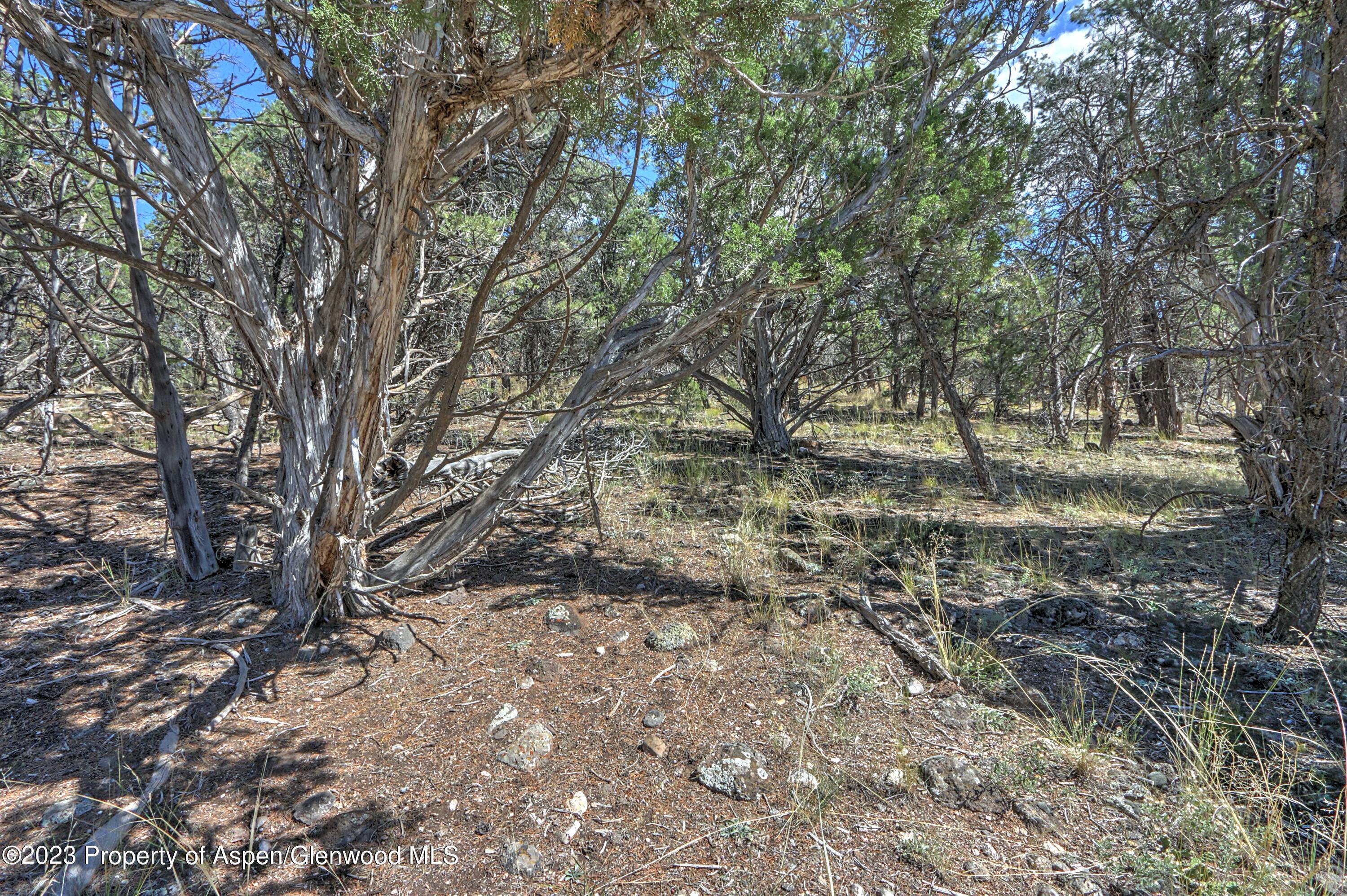 776 Elk Springs Drive Glenwood Springs CO 81601