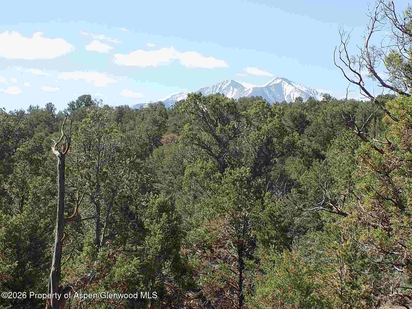 Carbondale CO, Tbd County Road 107