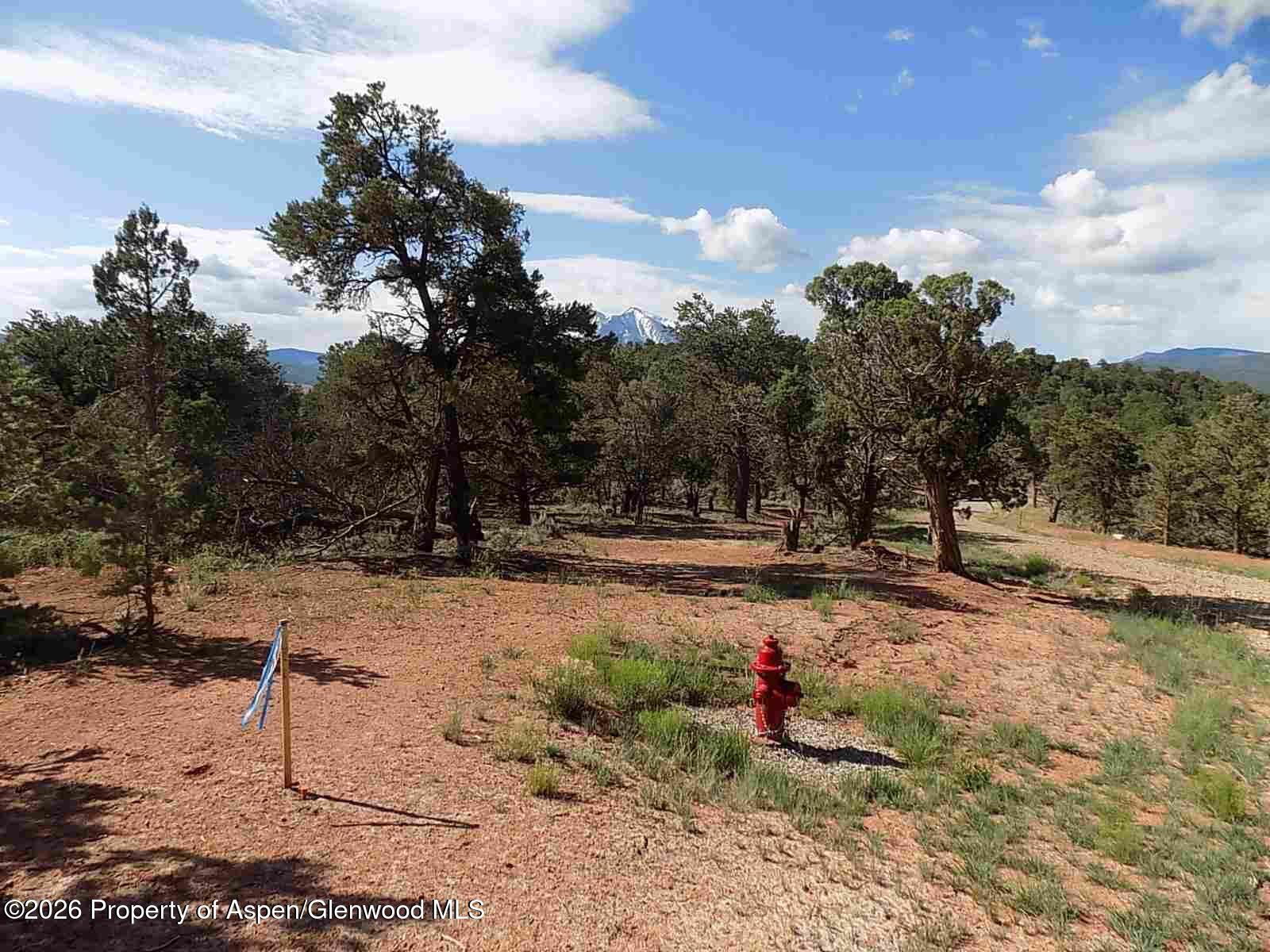 Tbd County Road 107 Carbondale CO 81623