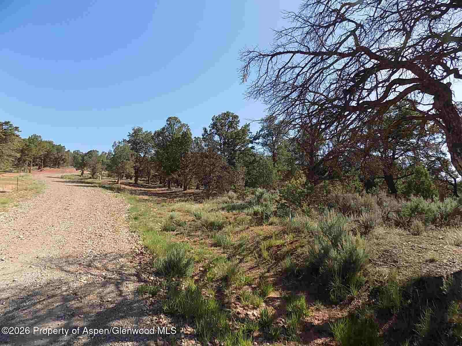 Tbd County Road 107 Carbondale CO 81623