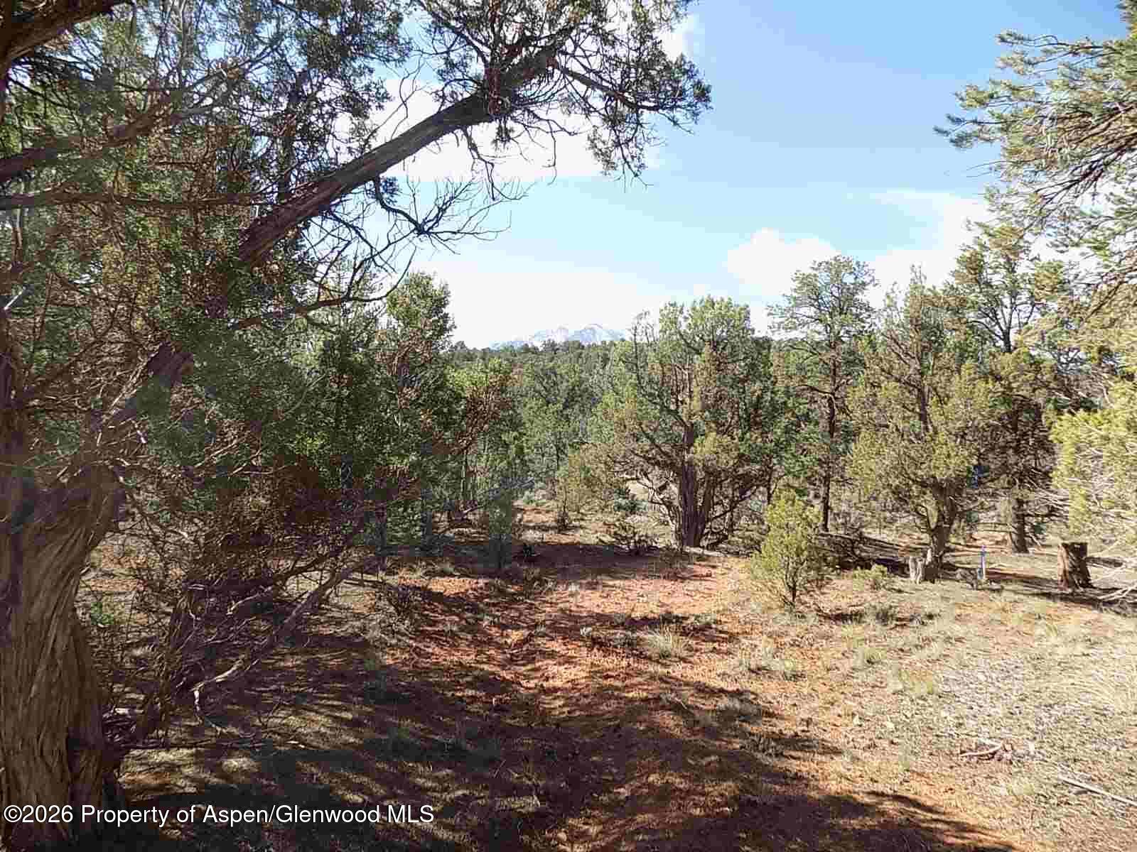 Tbd County Road 107 Carbondale CO 81623