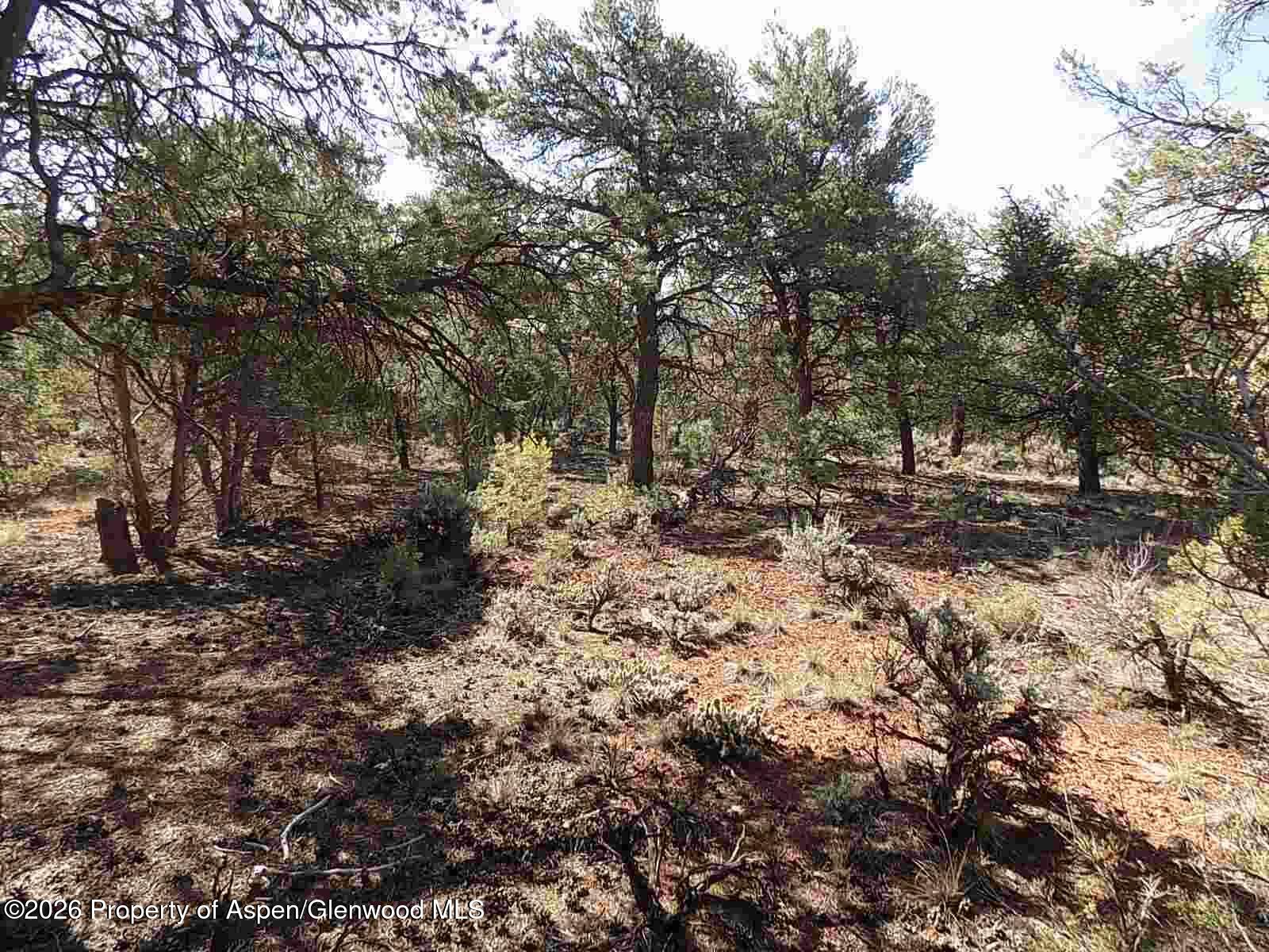 Tbd County Road 107 Carbondale CO 81623