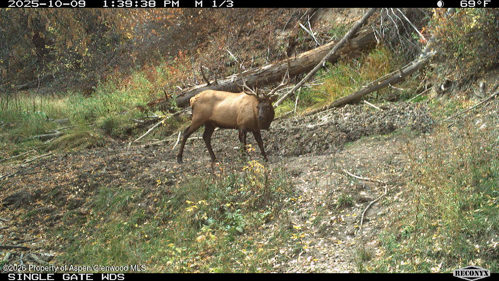 Tbd Highway 13 Rifle CO 81650