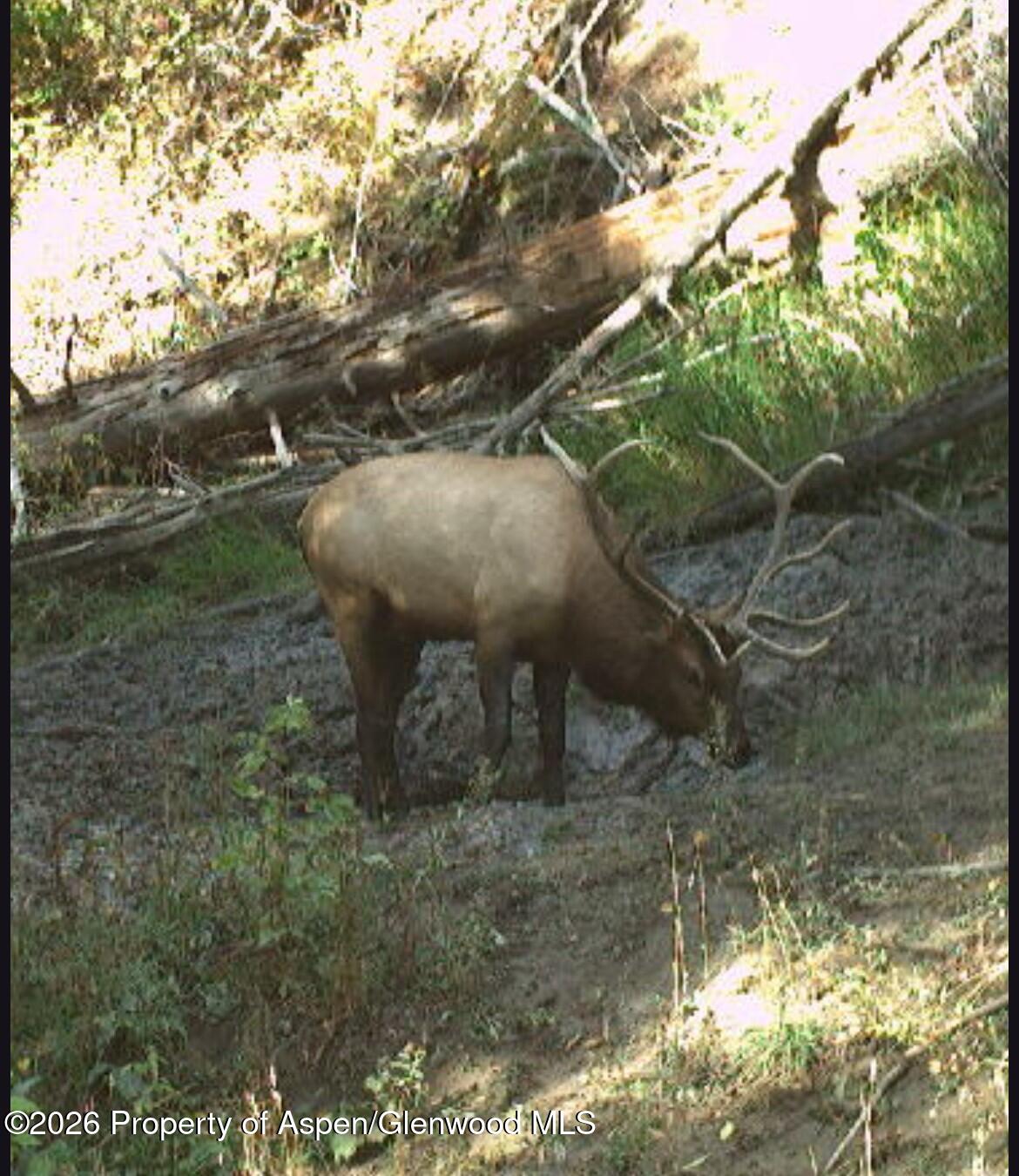 Tbd Highway 13 Rifle CO 81650