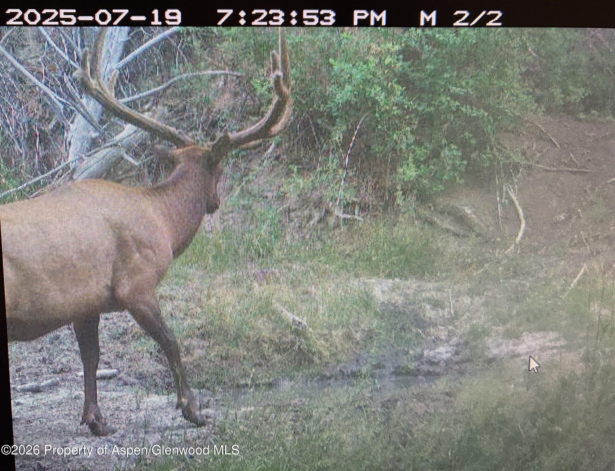 Tbd Highway 13 Rifle CO 81650