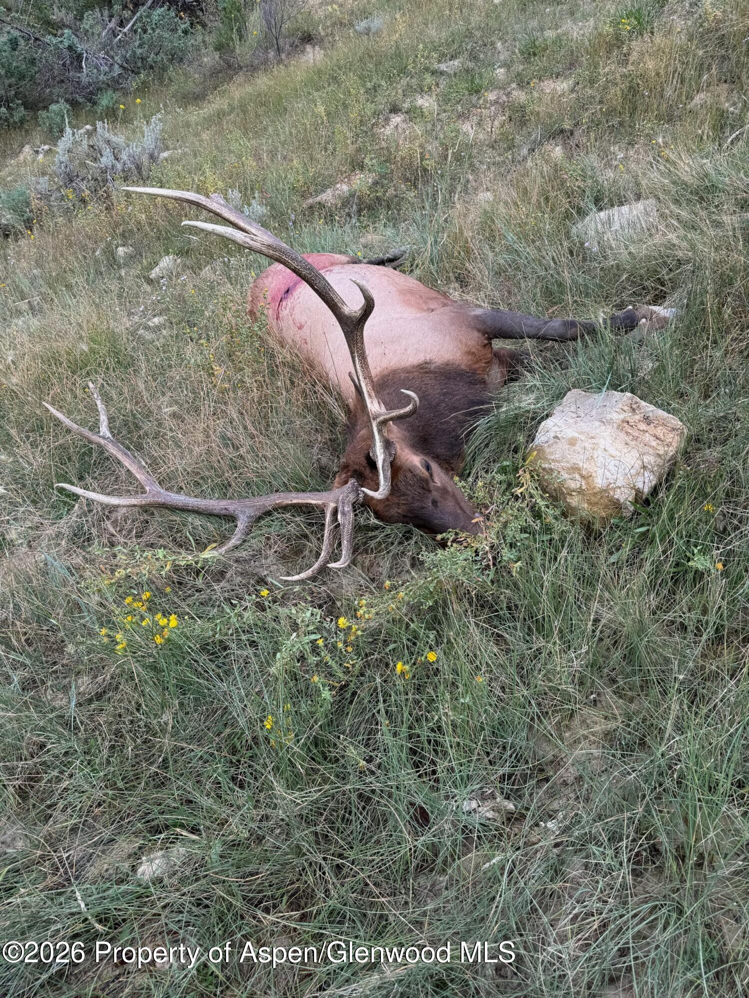 Tbd Highway 13 Rifle CO 81650