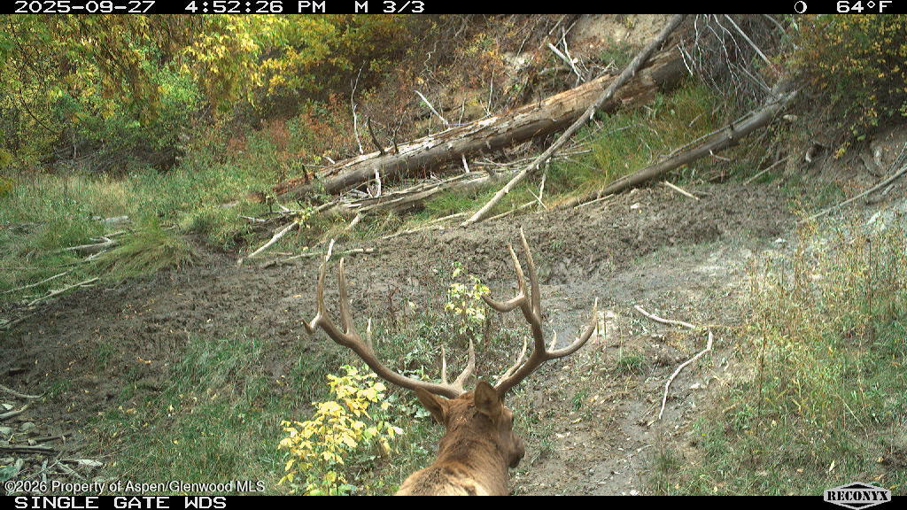 Tbd Highway 13 Rifle CO 81650