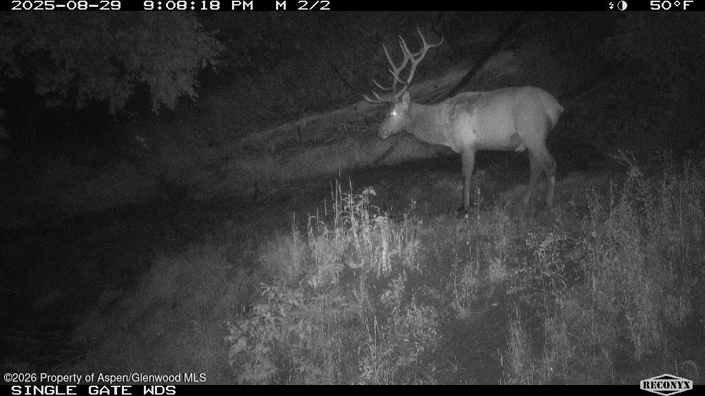 Tbd Highway 13 Rifle CO 81650
