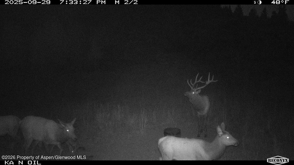 Tbd Highway 13 Rifle CO 81650