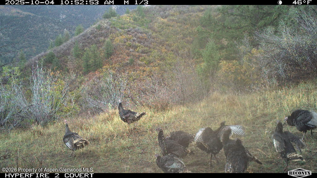 Tbd Highway 13 Rifle CO 81650
