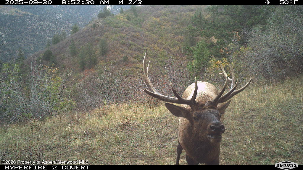 Tbd Highway 13 Rifle CO 81650