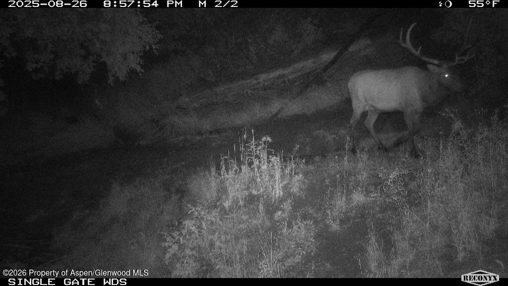Tbd Highway 13 Rifle CO 81650