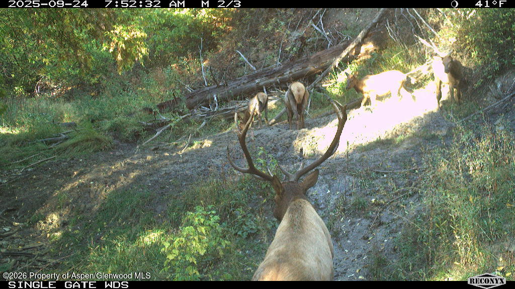 Tbd Highway 13 Rifle CO 81650