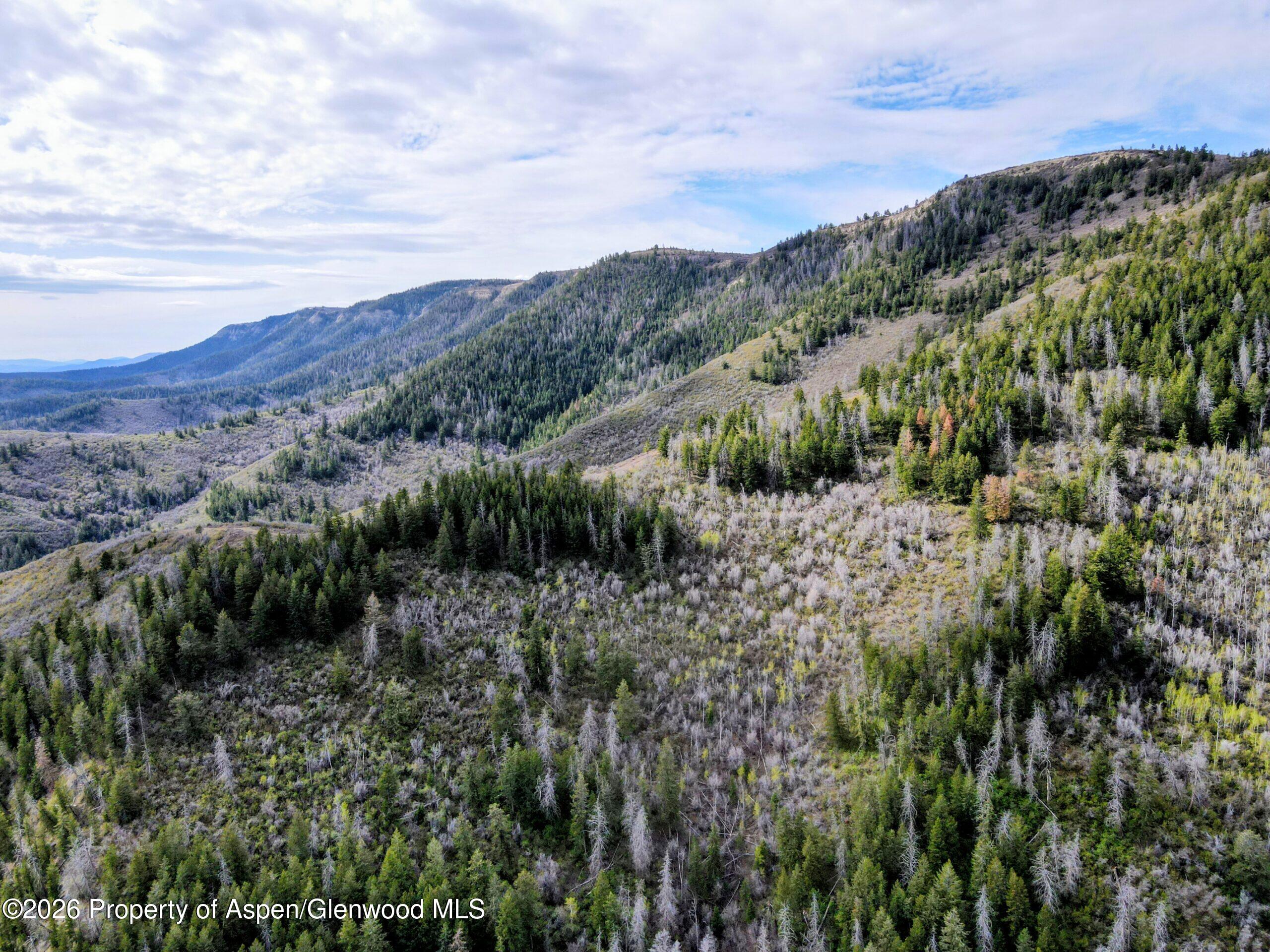 Tbd Highway 13 Rifle CO 81650