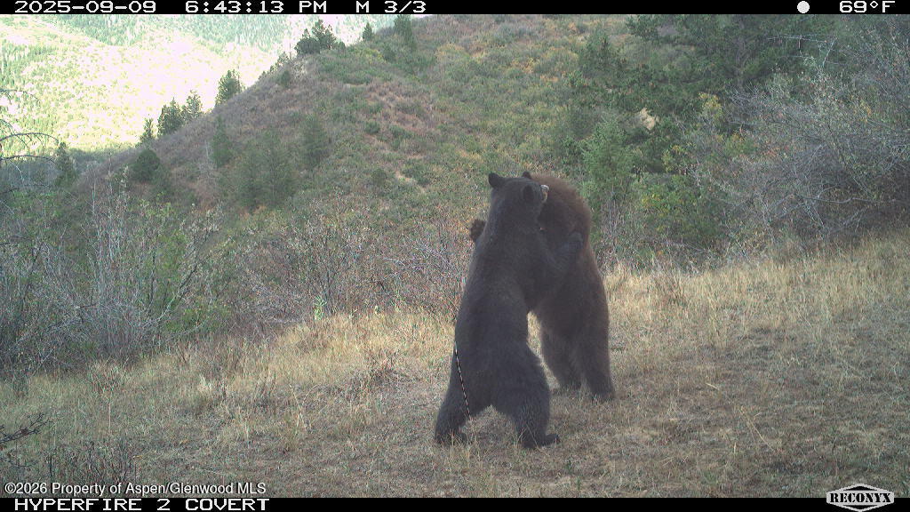 Tbd Highway 13 Rifle CO 81650
