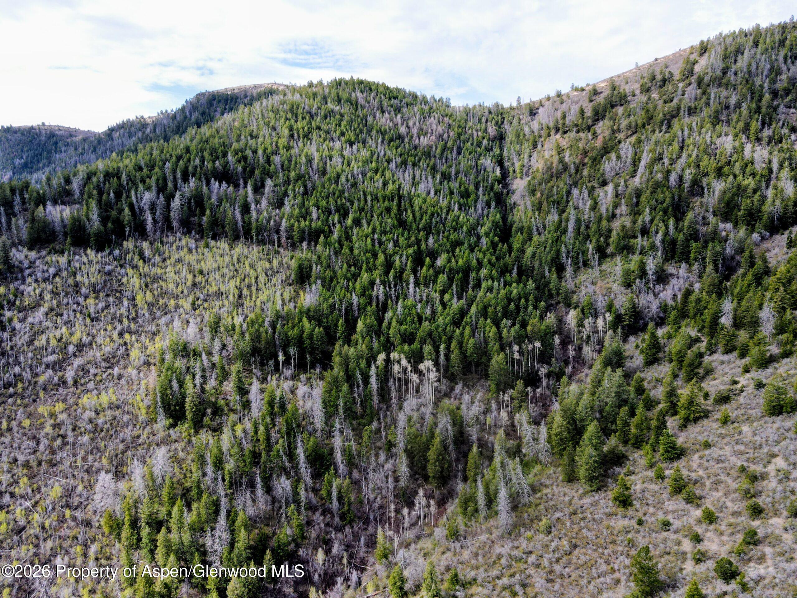 Tbd Highway 13 Rifle CO 81650