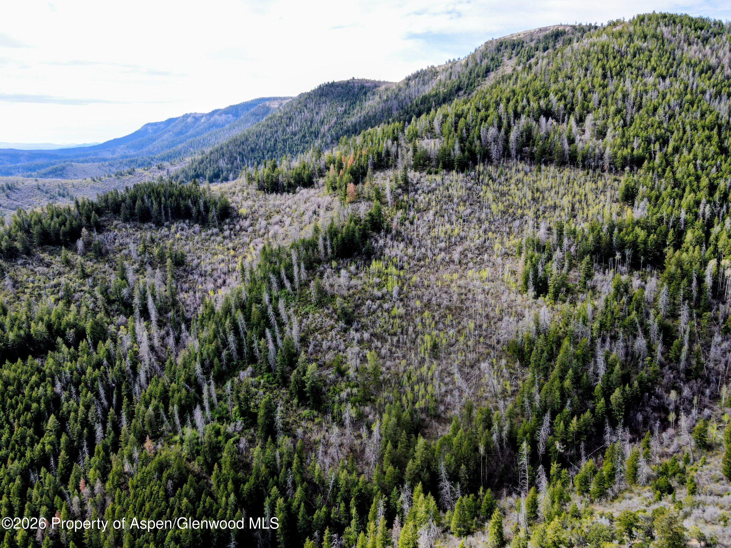 Tbd Highway 13 Rifle CO 81650