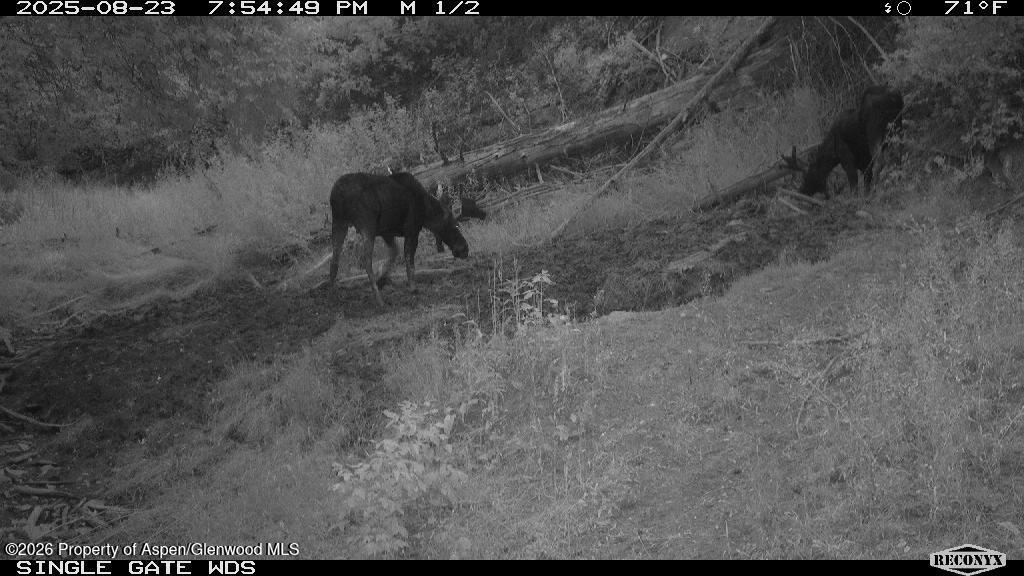 Tbd Highway 13 Rifle CO 81650