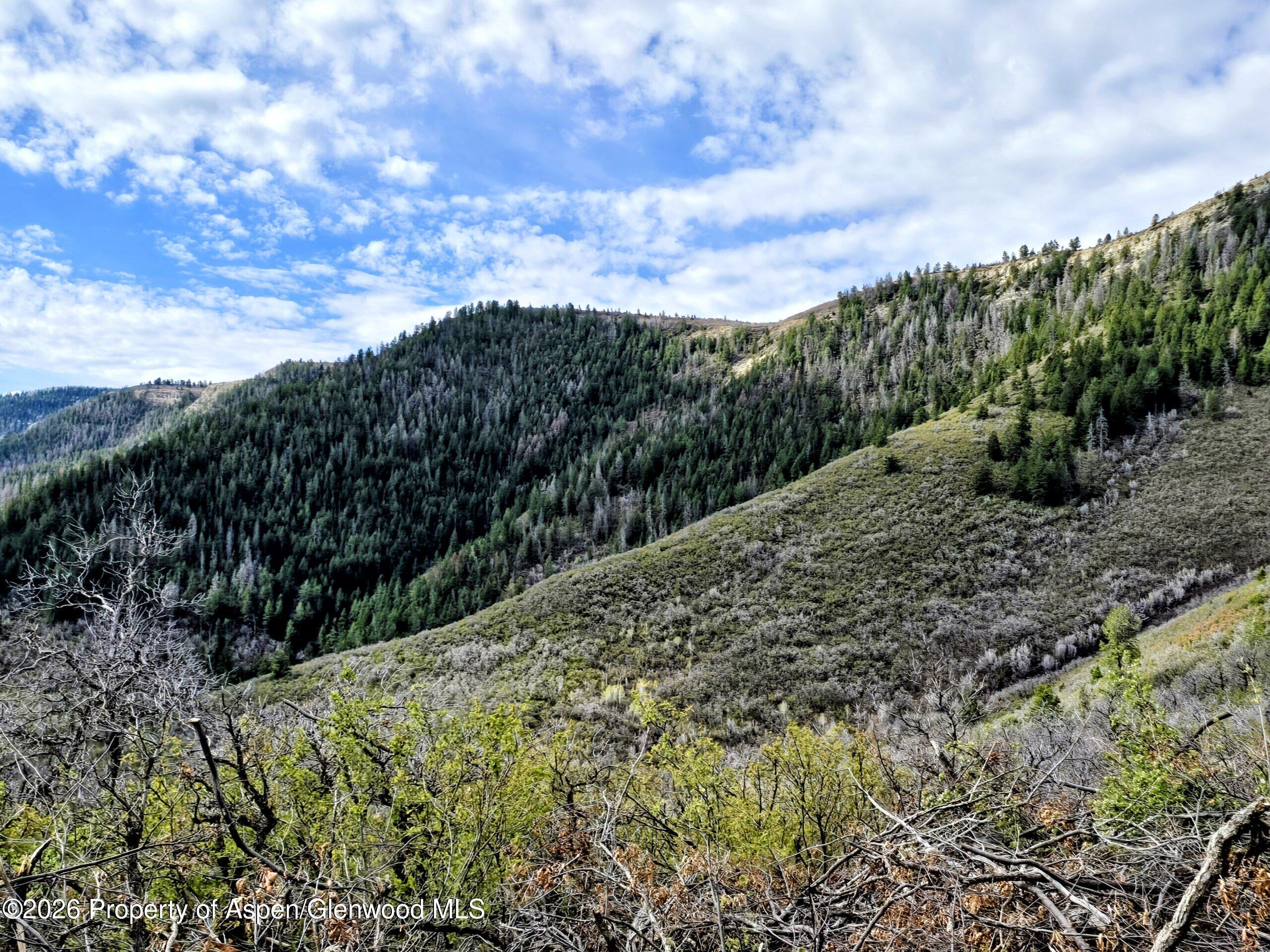 Tbd Highway 13 Rifle CO 81650