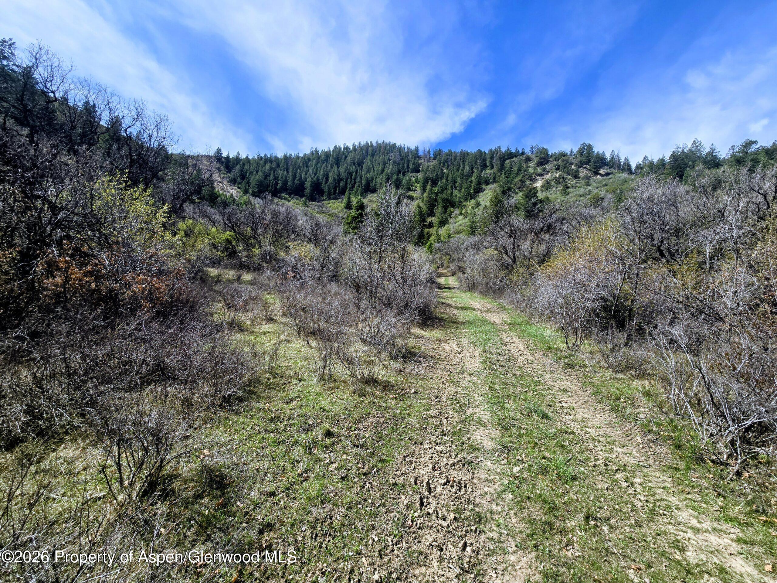 Tbd Highway 13 Rifle CO 81650