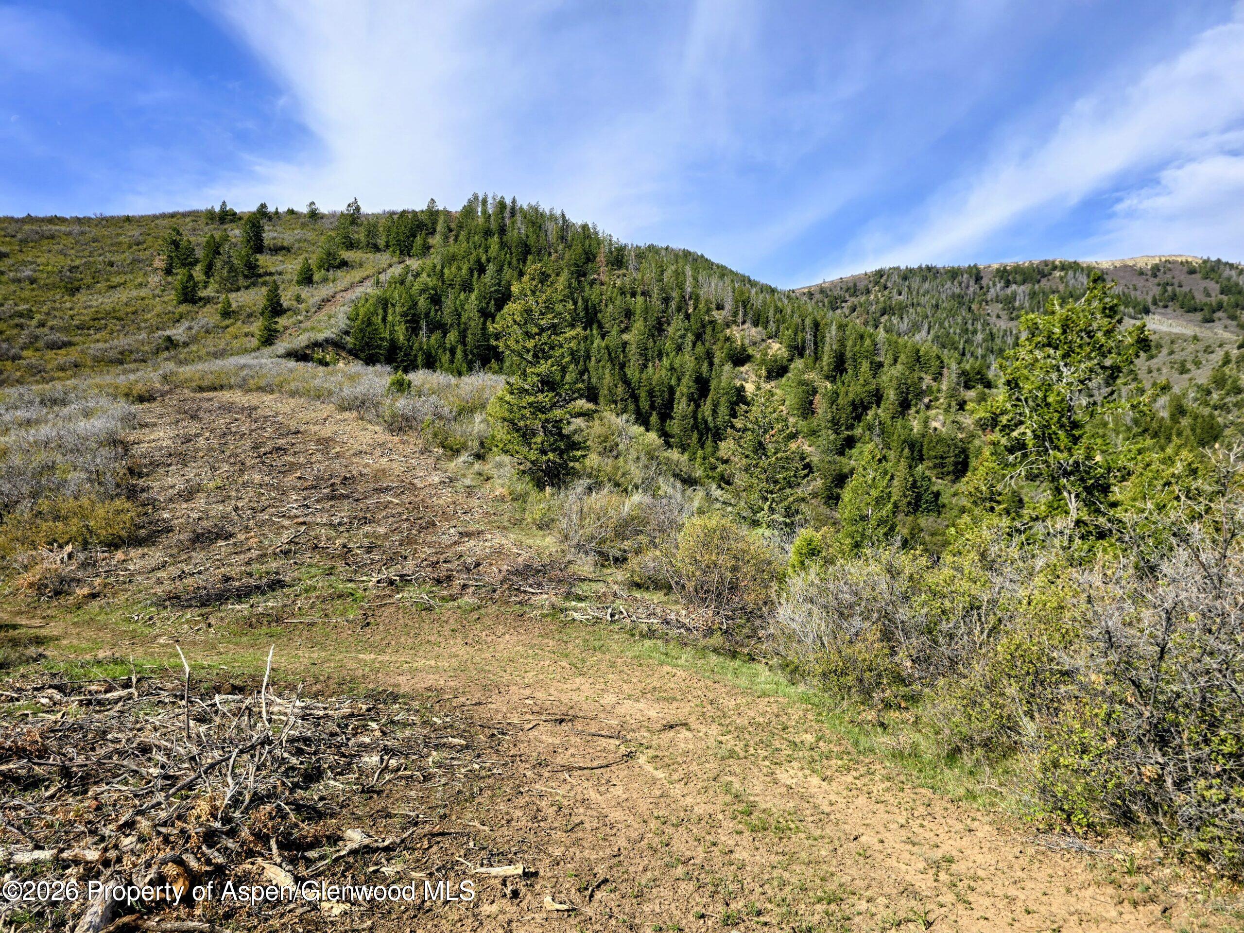 Tbd Highway 13 Rifle CO 81650