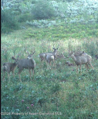 Tbd Highway 13 Rifle CO 81650