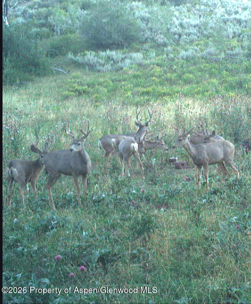 Tbd Highway 13 Rifle CO 81650