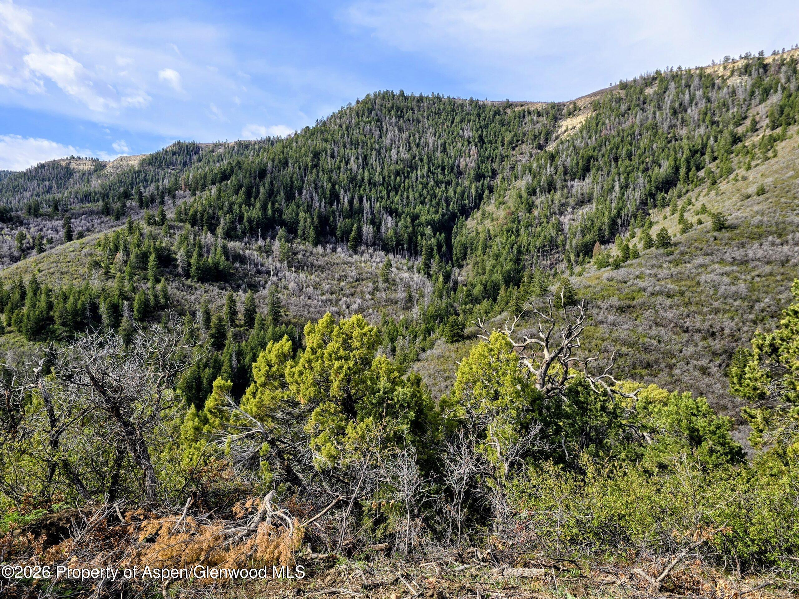 Tbd Highway 13 Rifle CO 81650