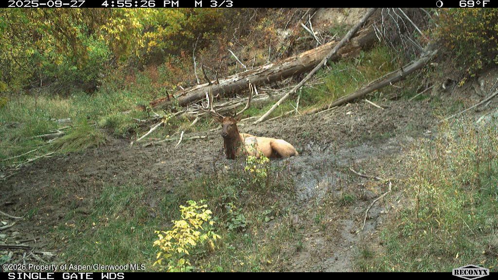 Tbd Highway 13 Rifle CO 81650