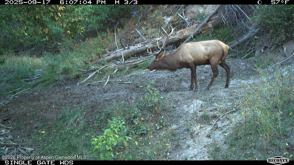 Tbd Highway 13 Rifle CO 81650