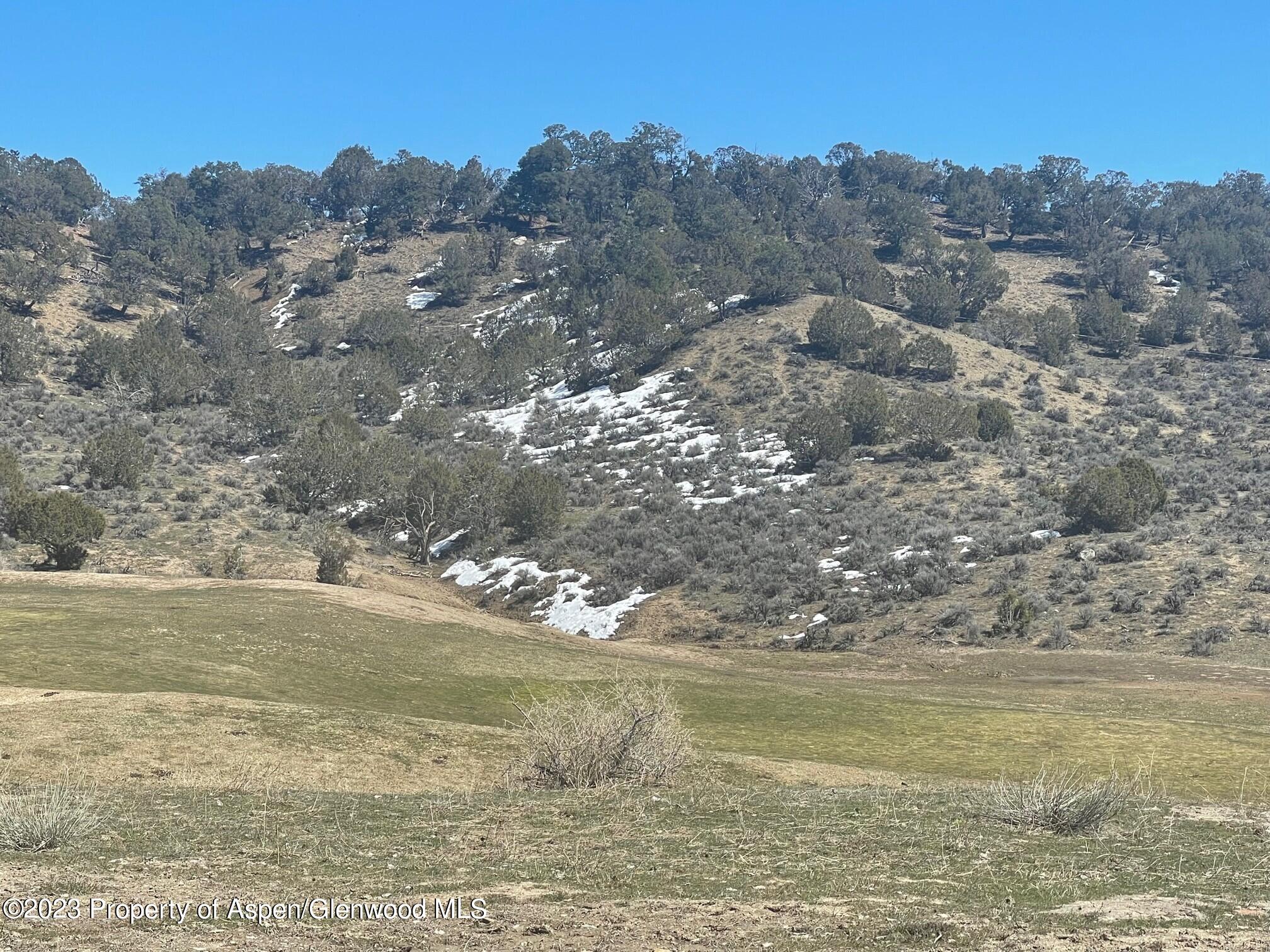 19 Doe Court New Castle CO 81647