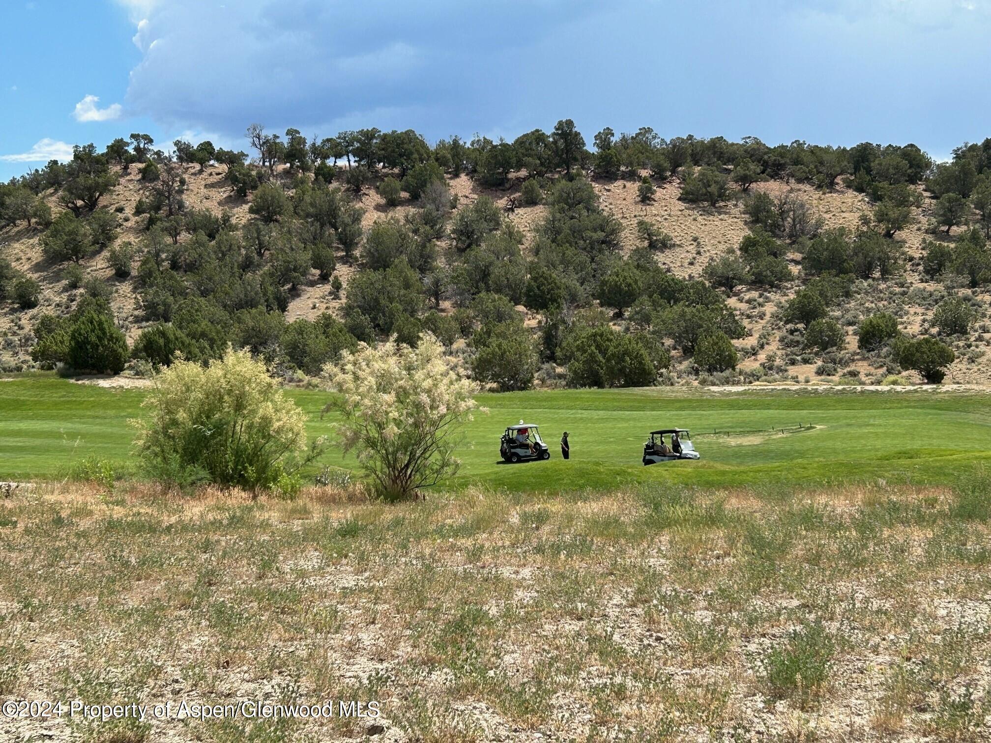 19 Doe Court New Castle CO 81647