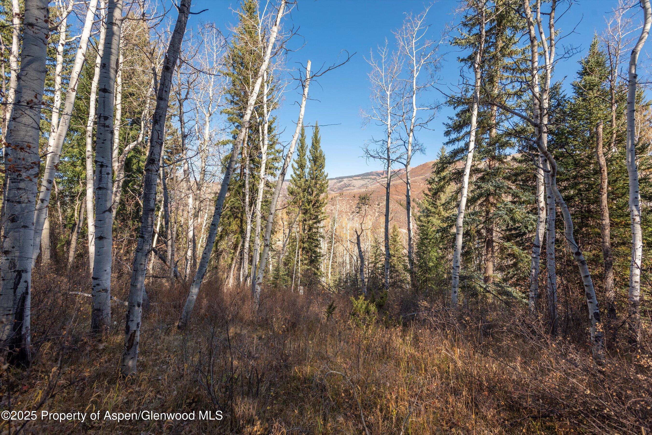 1920 S Shore Drive Meredith CO 81642