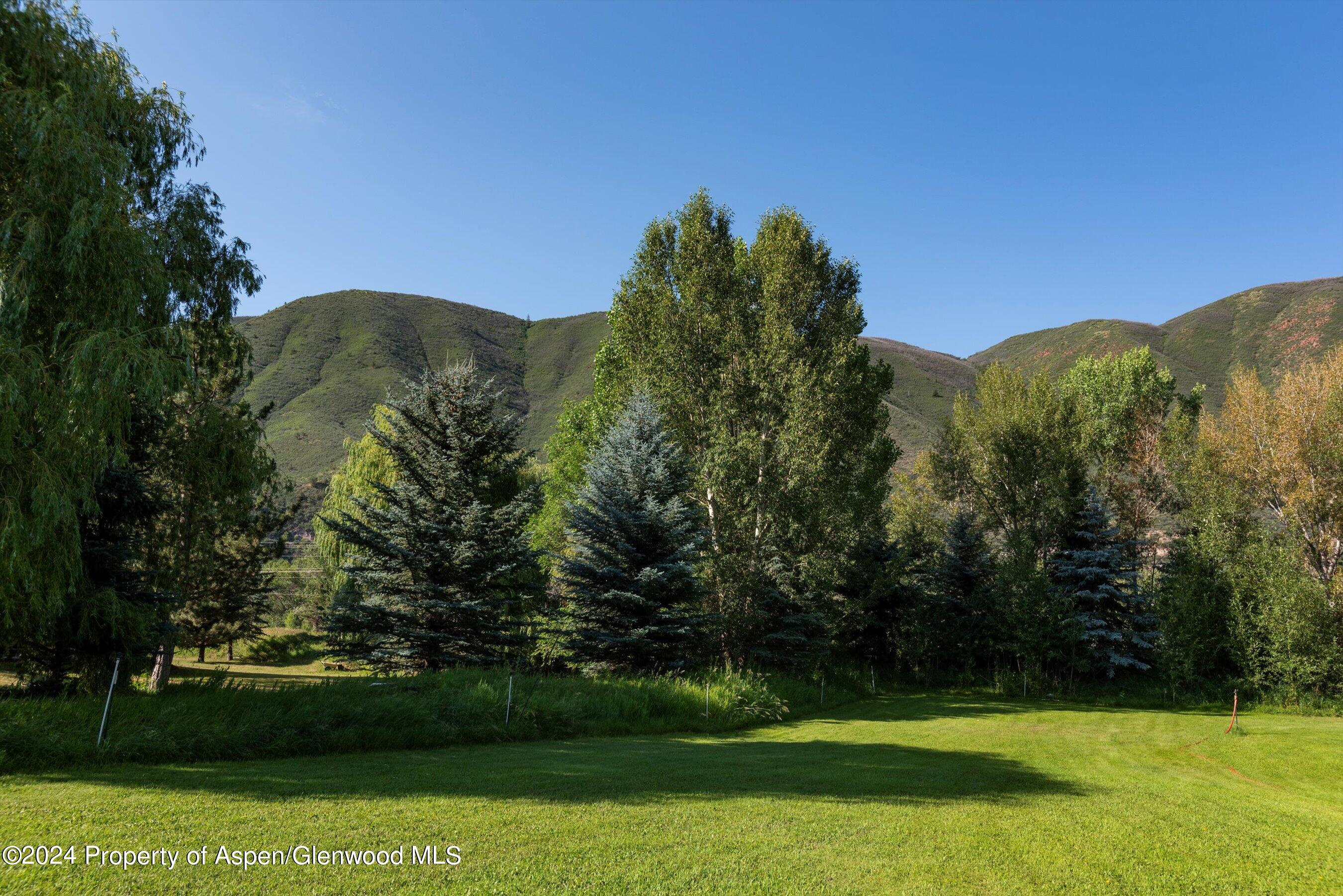 22 Bishop Drive Basalt CO 81621