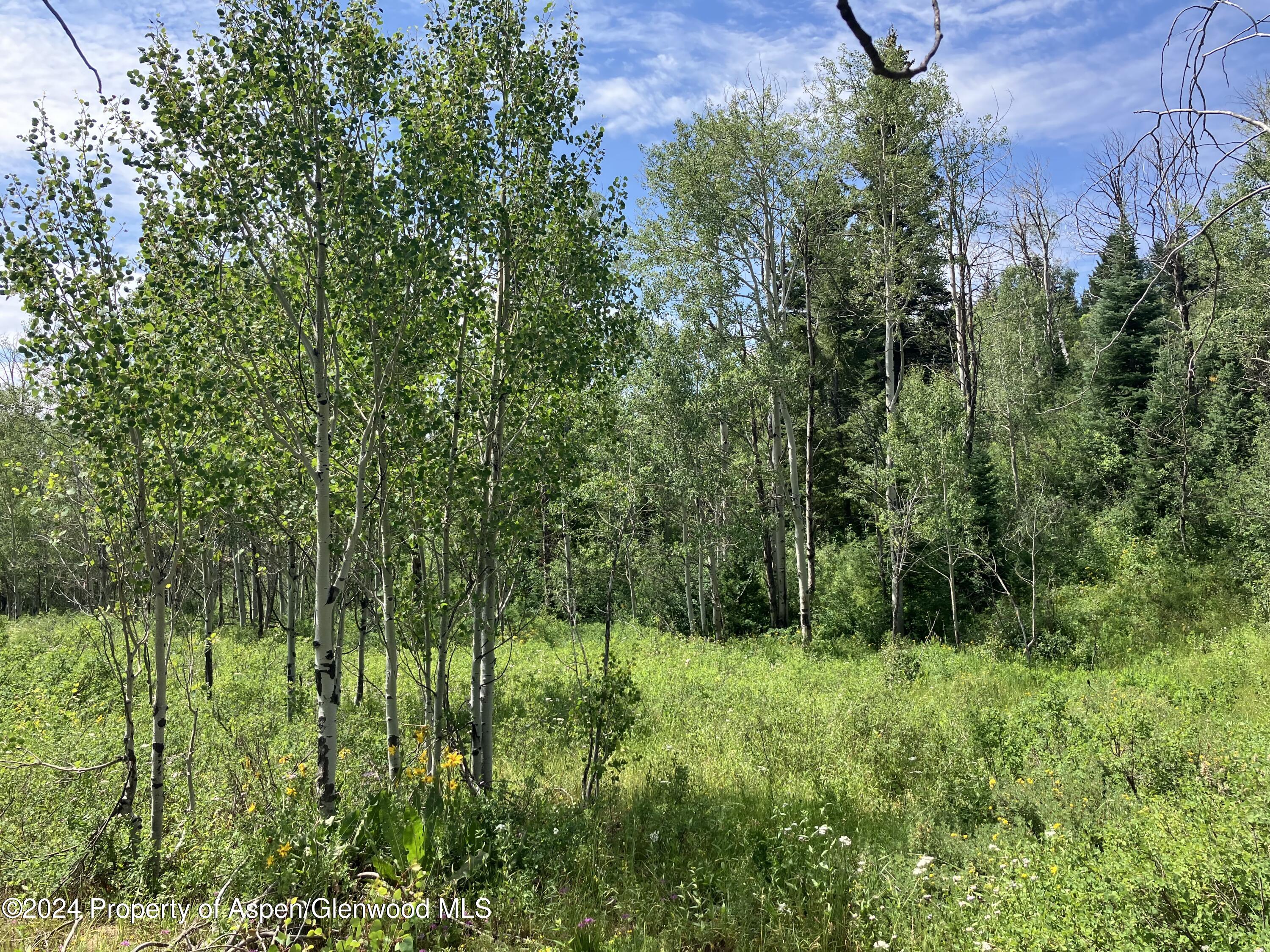 Lot 16b Mountain Springs Road Glenwood Springs CO 81601