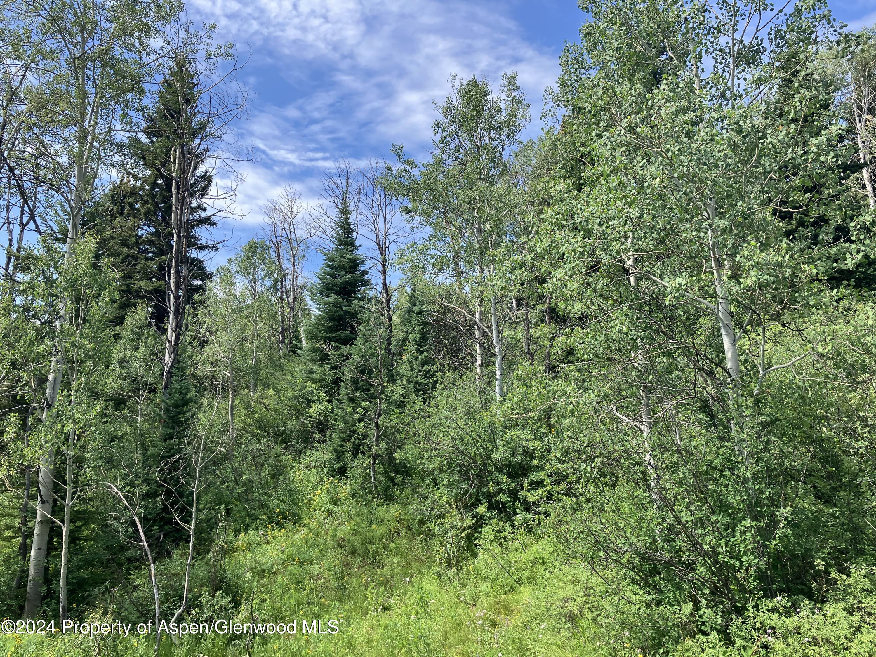 Lot 16b Mountain Springs Road Glenwood Springs CO 81601