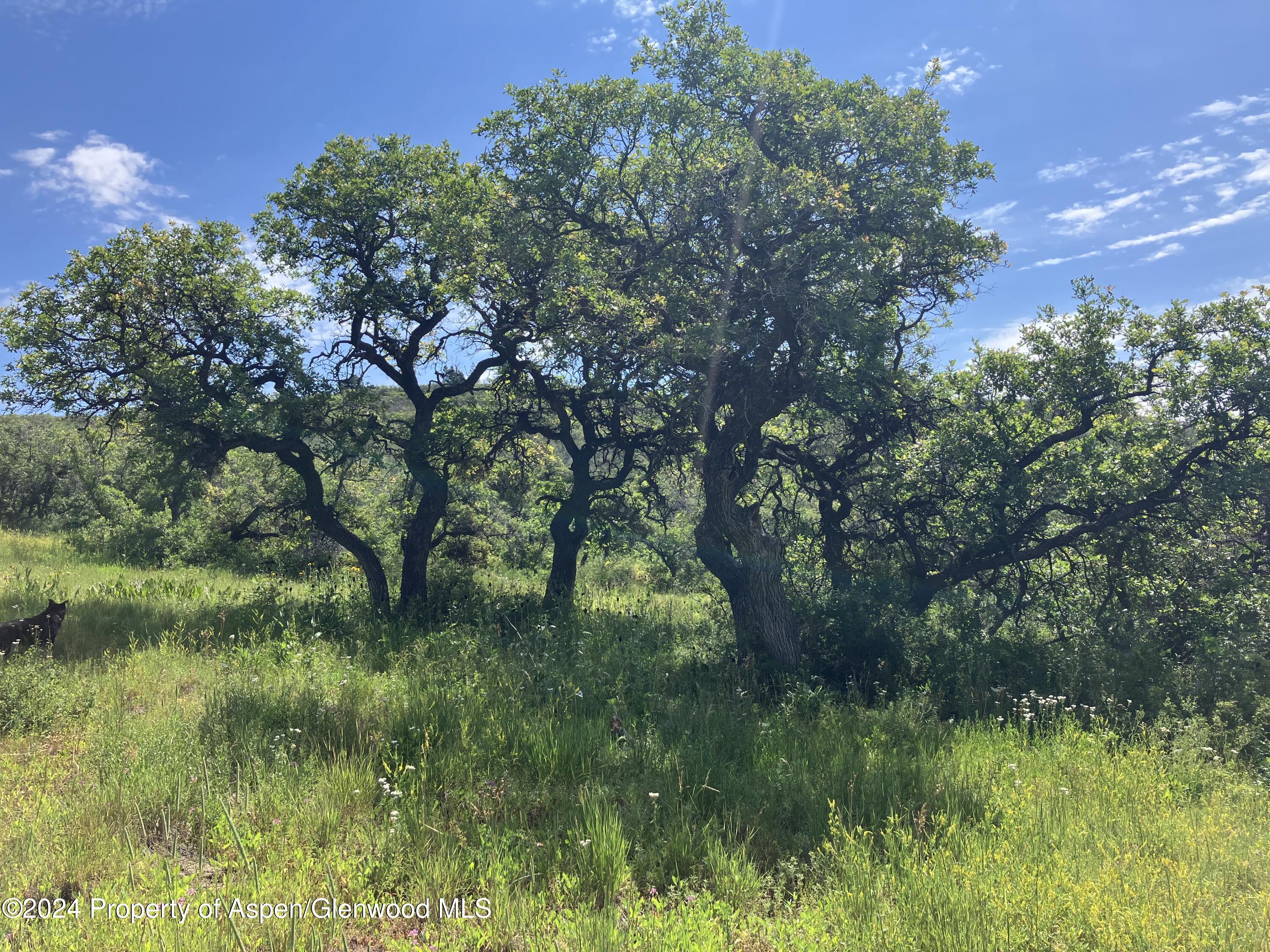 Lot 16b Mountain Springs Road Glenwood Springs CO 81601