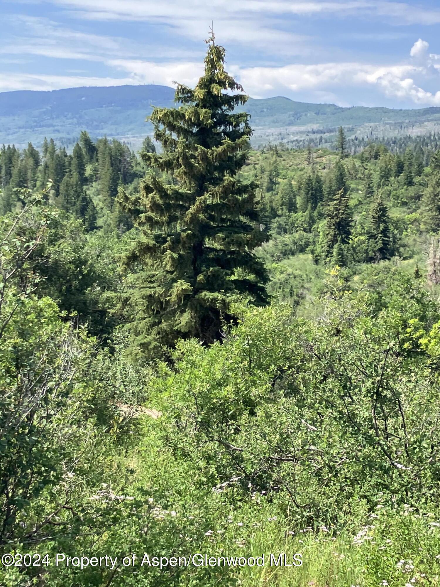 Lot 16b Mountain Springs Road Glenwood Springs CO 81601