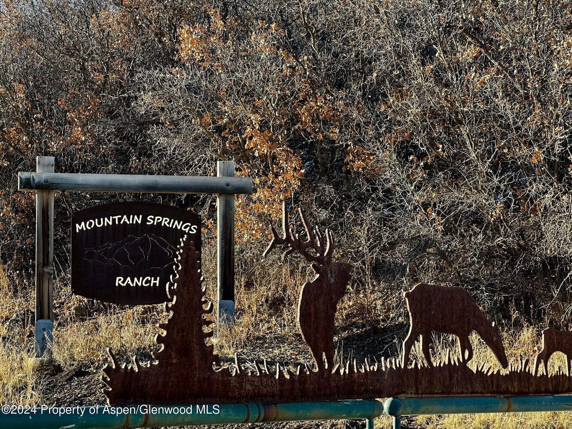 Lot 16b Mountain Springs Road Glenwood Springs CO 81601