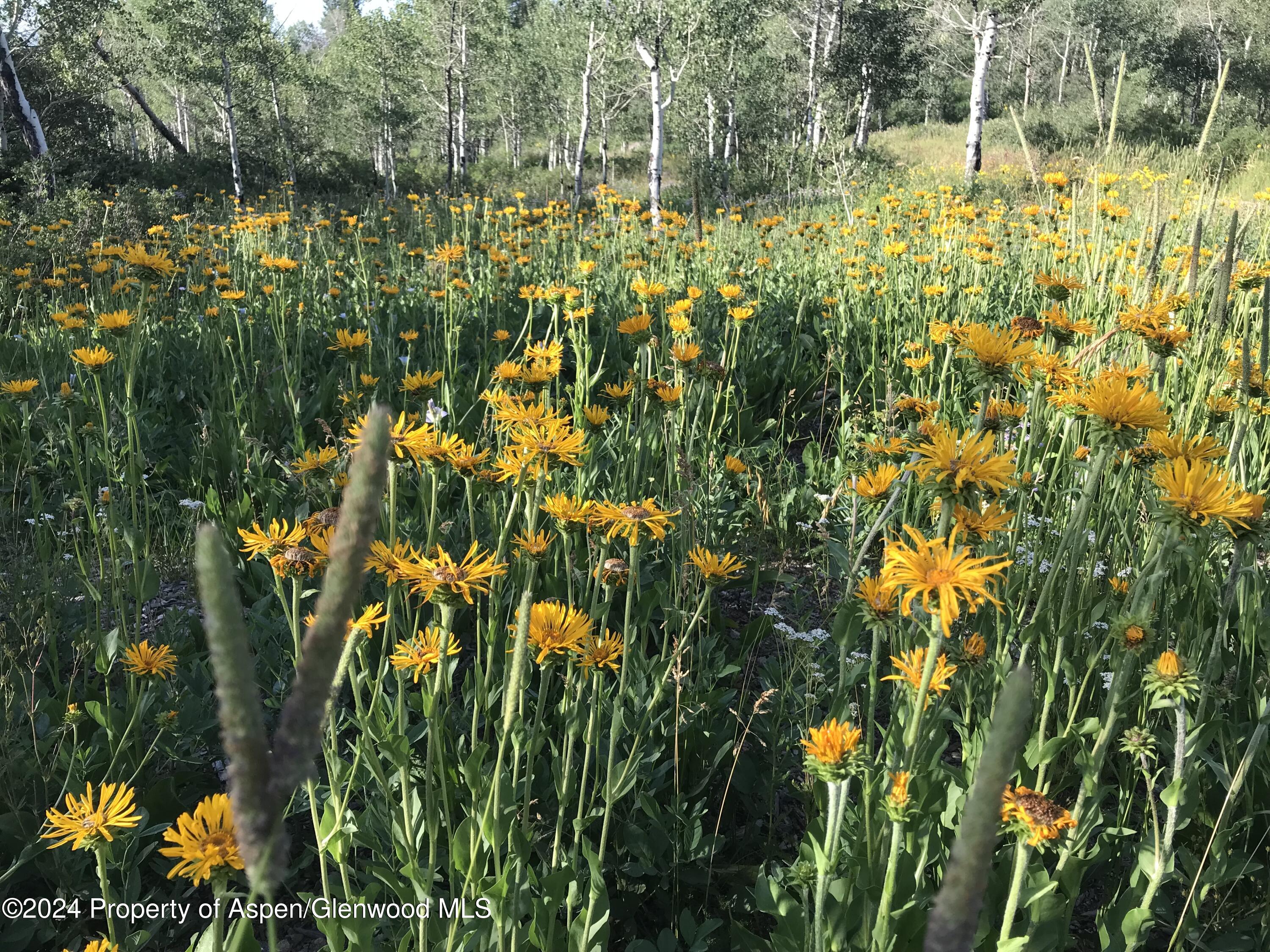 Lot 16b Mountain Springs Road Glenwood Springs CO 81601