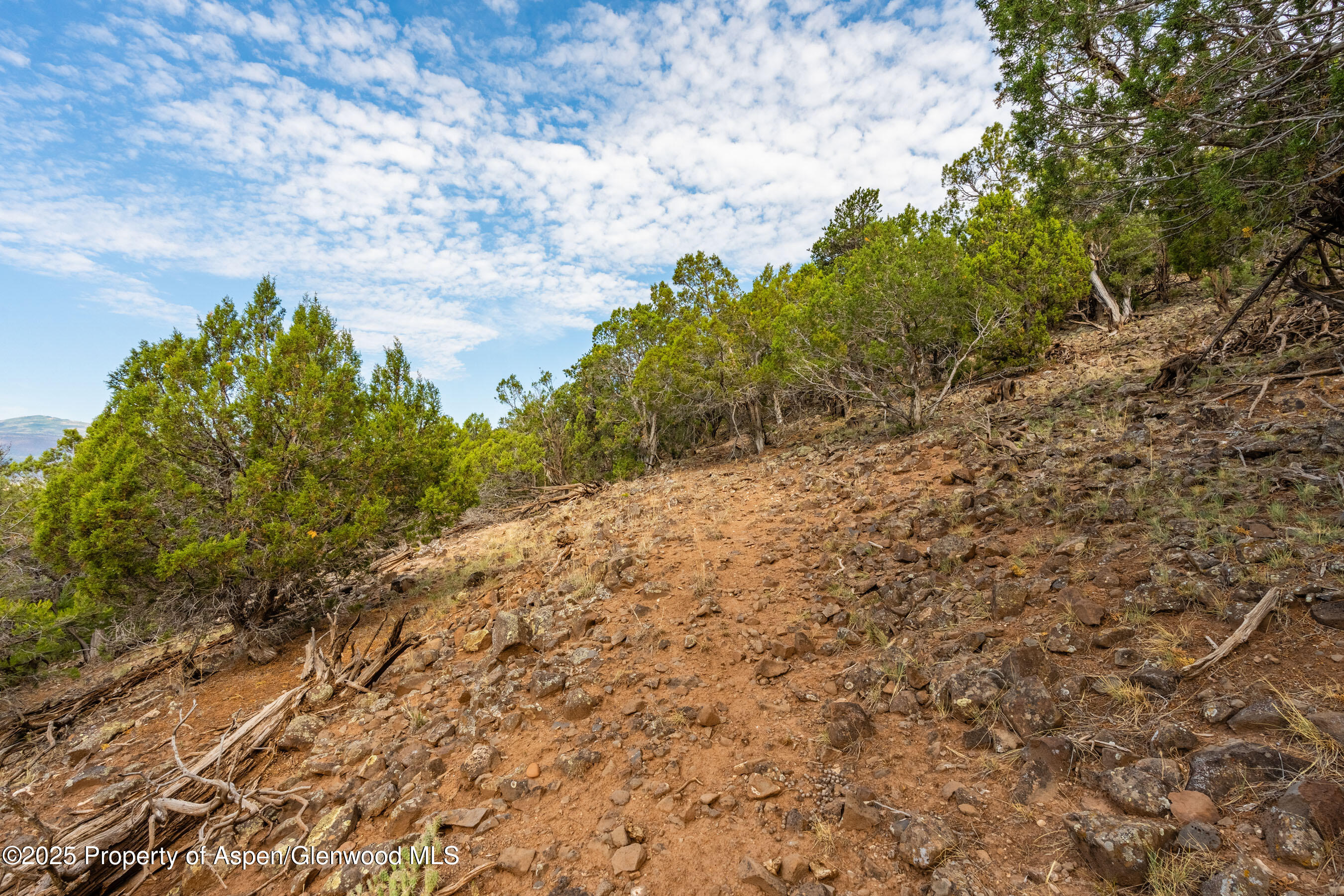 Tbd Wooden Deer Road Carbondale CO 81623