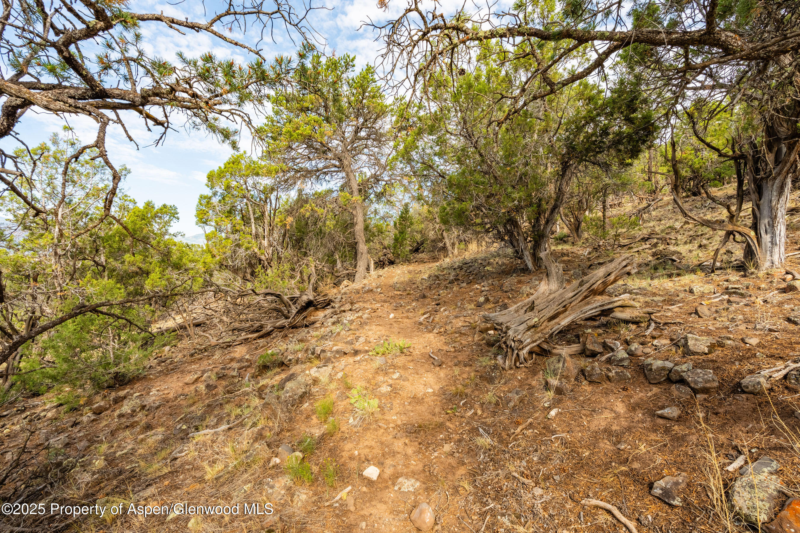 Tbd Wooden Deer Road Carbondale CO 81623