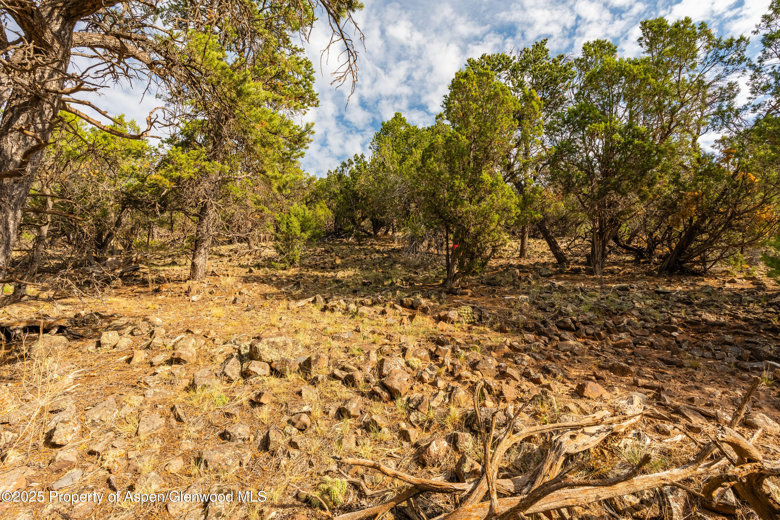 Tbd Wooden Deer Road Carbondale CO 81623