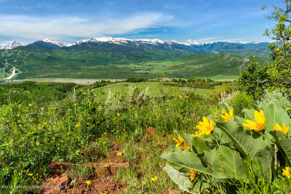 300 Carroll Drive Aspen CO 81611