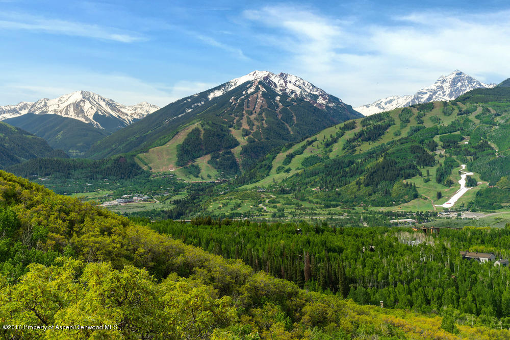 300 Carroll Drive Aspen CO 81611
