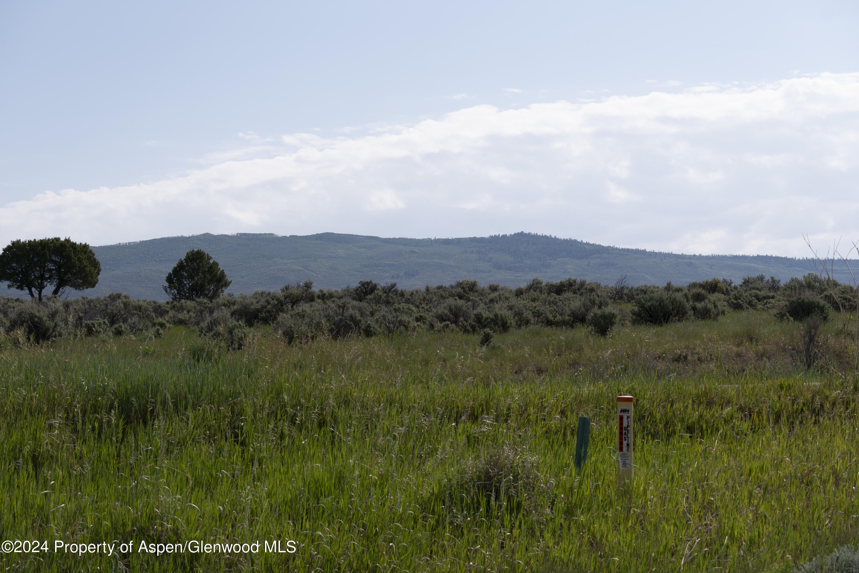 2247 Elk Springs Drive Glenwood Springs CO 81601